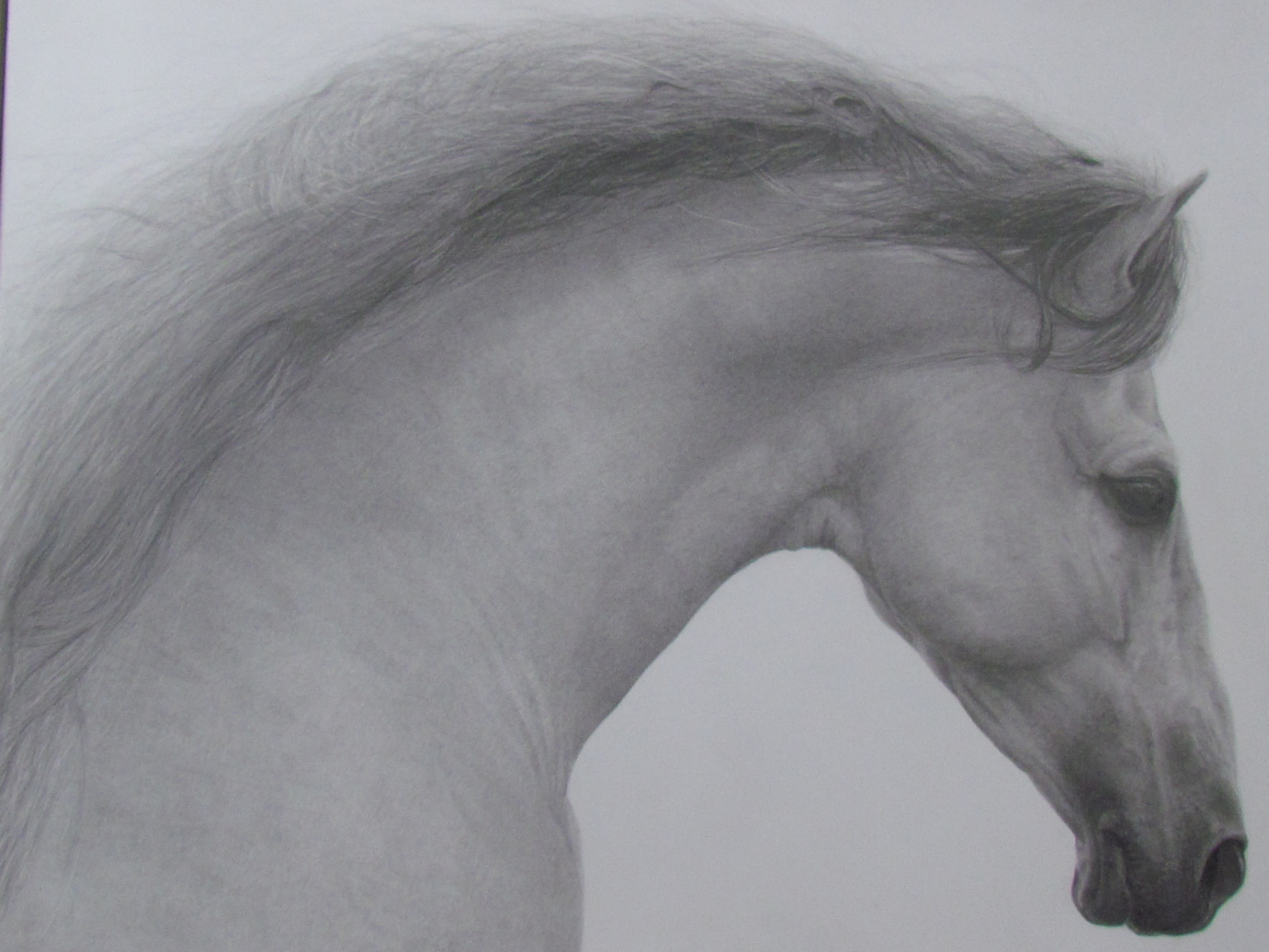 Artist Jeffrey T. Shelton and his horse