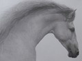 Motion