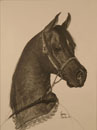 Small Bust of Horse
