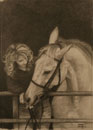 Woman and Horse